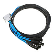 AVIDDigiSnake 12' (3.6) DB25-XLRF