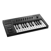 Native InstrumentsKontrol A25