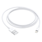 AppleCâble Lightning vers USB (1 m)