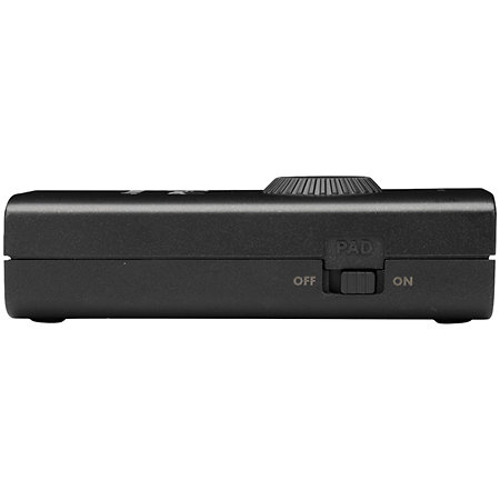 Fender Link I/O Fender