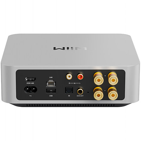 Amp Silver WiiM