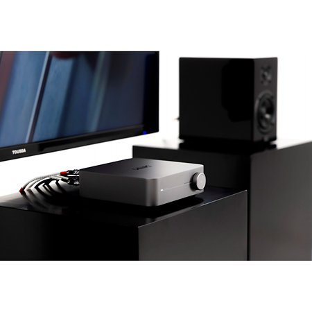 Amp Silver WiiM