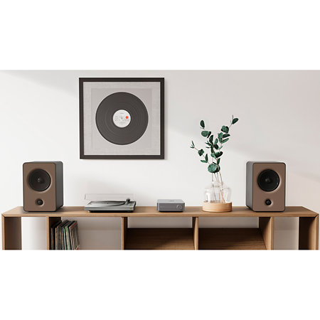 Amp Silver WiiM