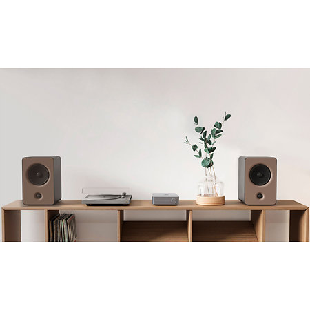Amp Pro WiiM