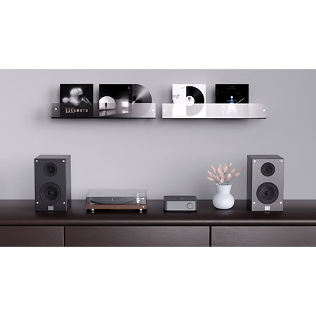 Amp Pro WiiM