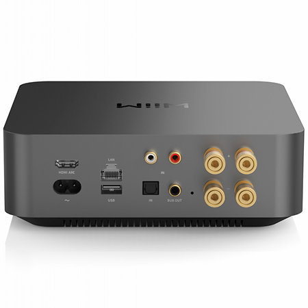Amp Pro WiiM