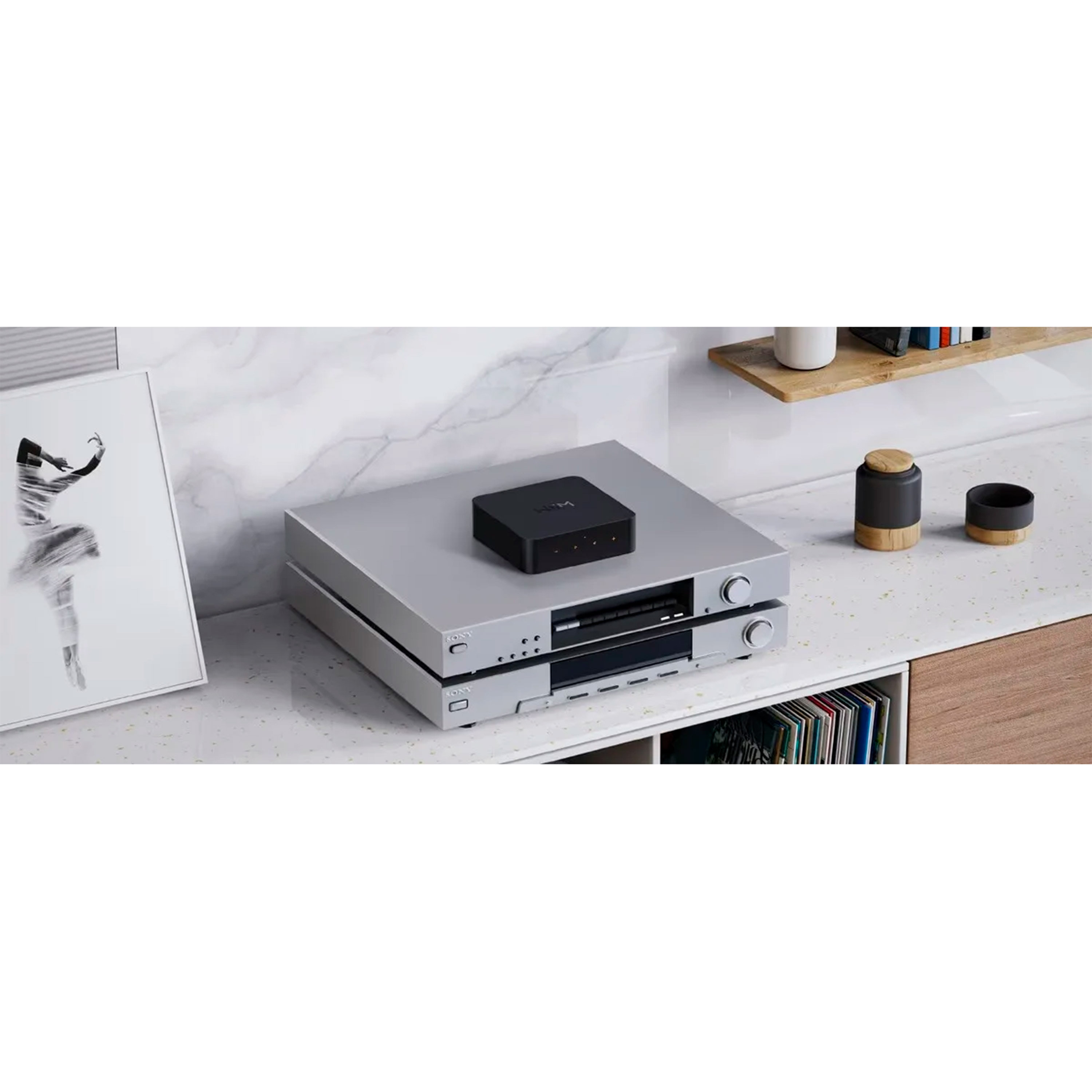 WiiM Pro +