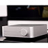 Amp Silver WiiM