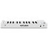 MicroLab MK3 White Arturia