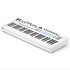 LaunchKey 49 MK4 White Novation