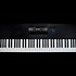 Kontrol S61 MK3 + K15 Ultimate Native Instruments