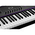 Kontrol S88 MK3 + K15 Ultimate Native Instruments