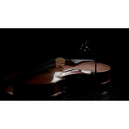 4099 CORE+ Loud SPL, Violon DPA