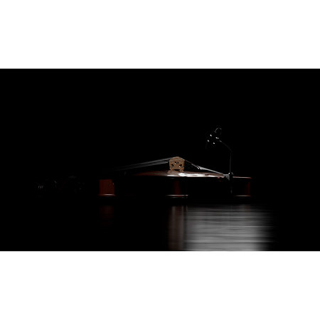 4099 CORE+ Loud SPL, Violon DPA