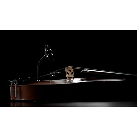 4099 CORE+ Loud SPL, Violon DPA