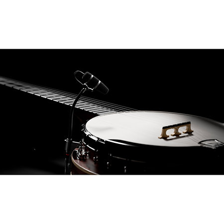 4099 CORE+ Loud SPL, Violon DPA