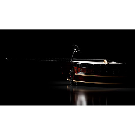 4099 CORE+ Loud SPL, Violon DPA