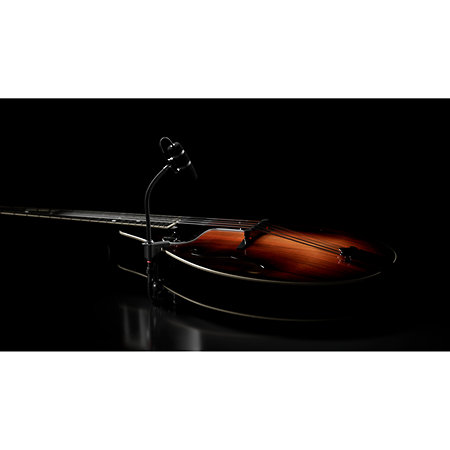 4099 CORE+ Loud SPL, Violon DPA