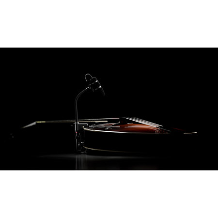 4099 CORE+ Loud SPL, Violon DPA