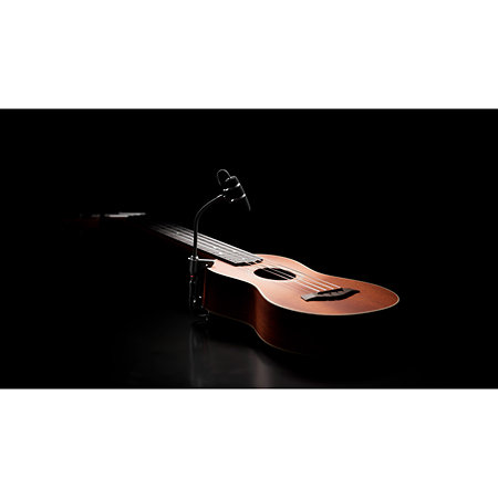 4099 CORE+ Loud SPL, Violon DPA