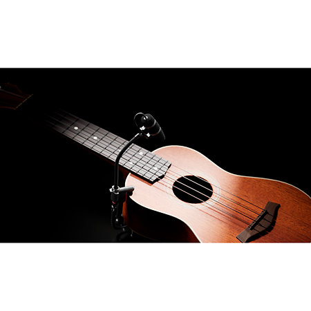 4099 CORE+ Loud SPL, Violon DPA