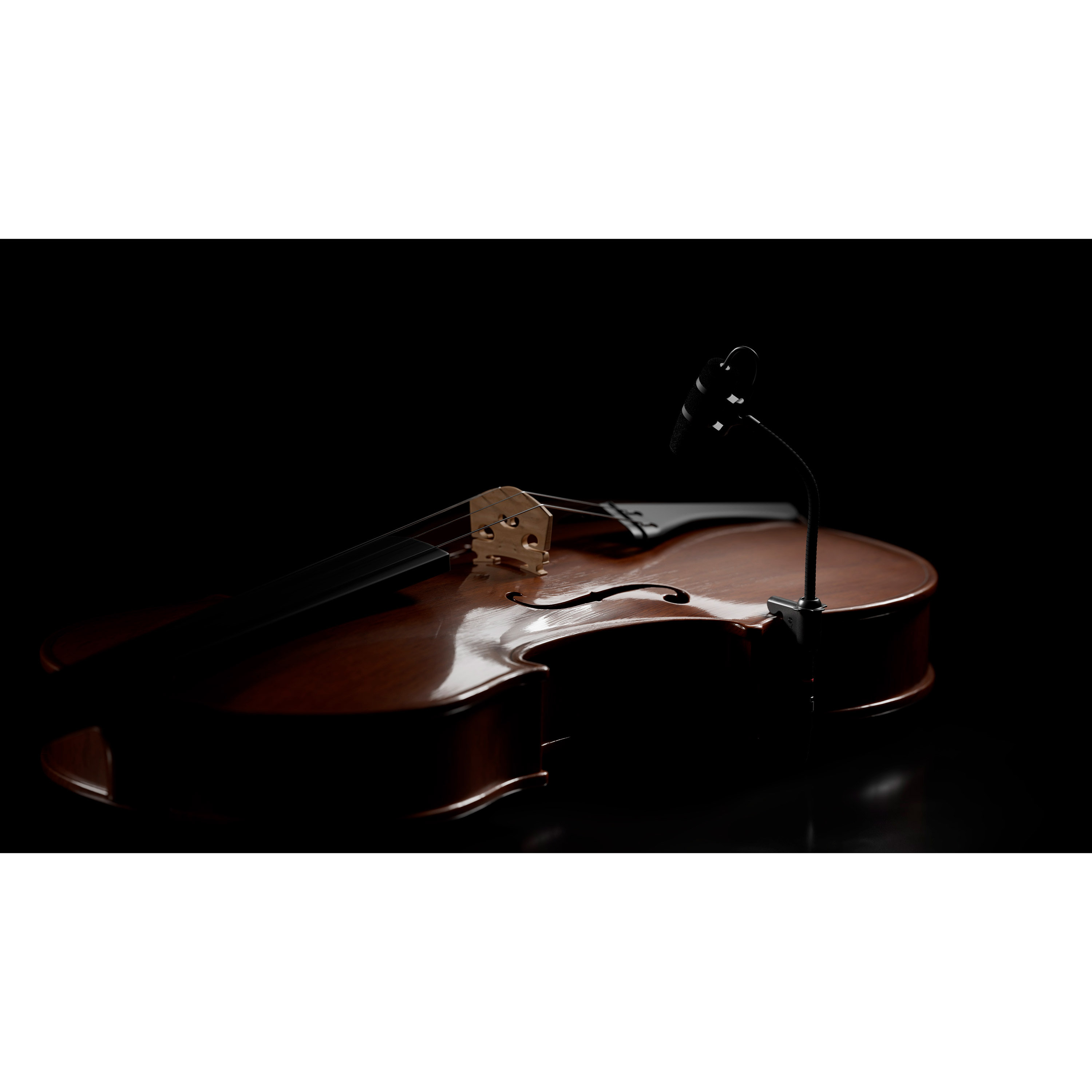 DPA 4099 CORE+ Loud SPL, Violon