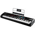 Hammer 88 Pro + Komplete 15 Ultimate upgrade M AUDIO