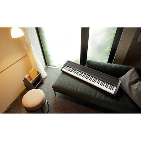 B2+ Black Korg