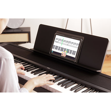 B2+ Black Korg