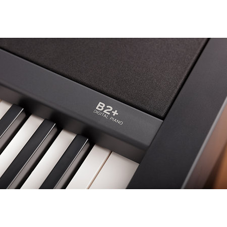 B2+ SP Black Korg