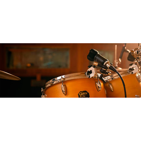 Rim Mount Lauten Audio