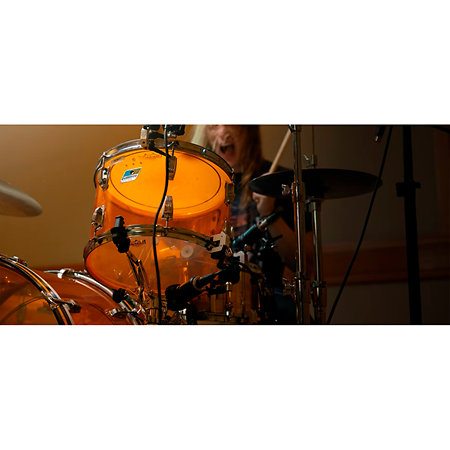 Rim Mount Lauten Audio