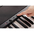 B2+ SP Black Korg