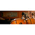Rim Mount Lauten Audio