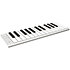 Xkey Air 25 ESI Audiotechnik