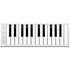 Xkey Air 25 ESI Audiotechnik