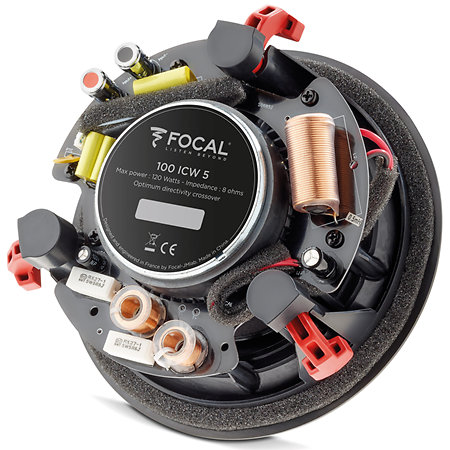100 ICW5 Focal