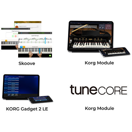 E1 Air Black Korg