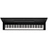 E1 Air Black Korg