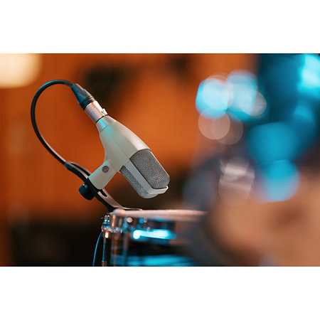 MD 421 Kompakt 80th Edition Sennheiser