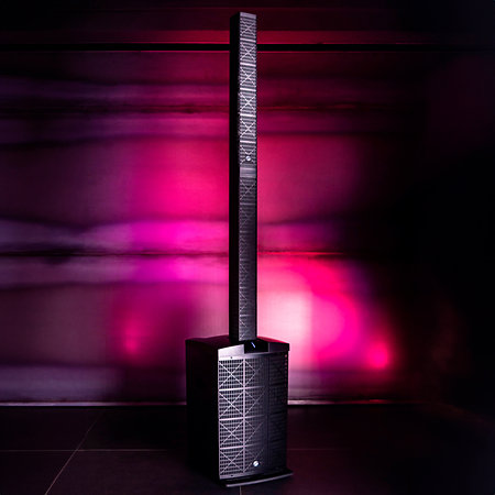 Tower 12 + 2 Micros W-UHF Elokance