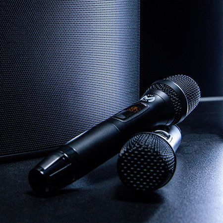 Tower 12 + 2 Micros W-UHF Elokance