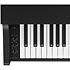 CX 102 Black Kawai
