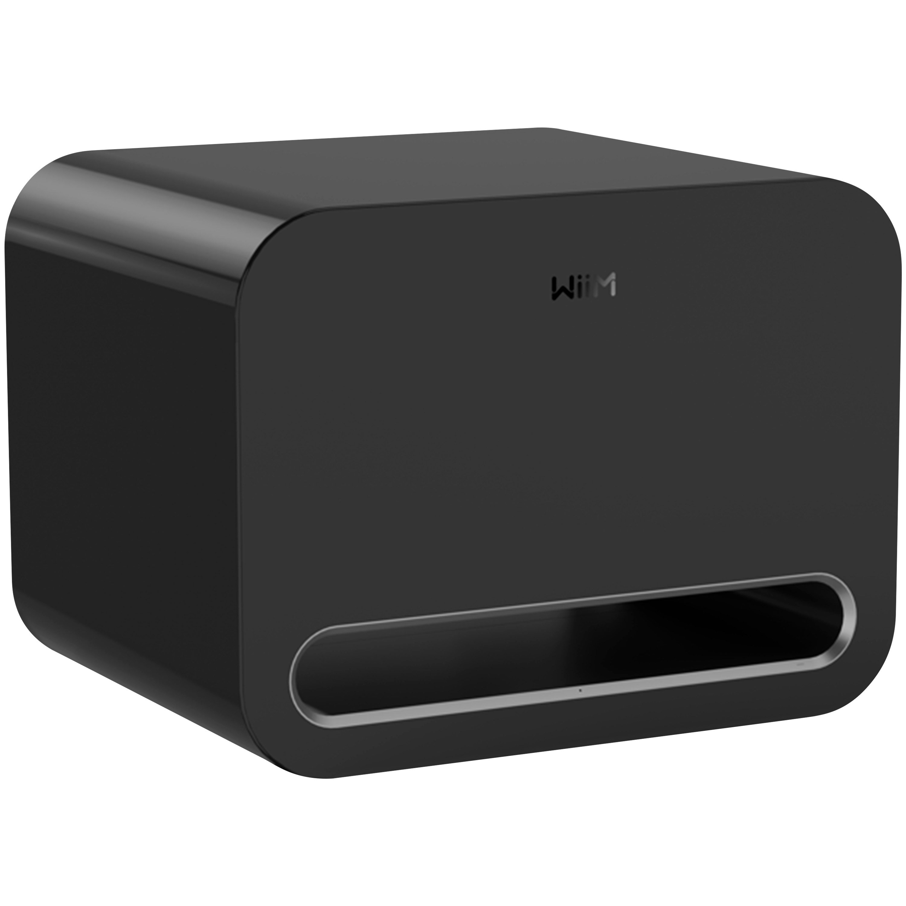 WiiM Sub Pro