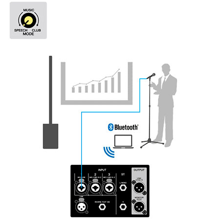 Stagepas 1K MKII + Cover + YDM 505 Yamaha