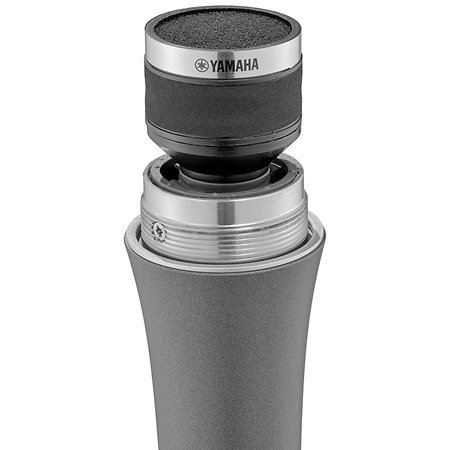 Stagepas 1K MKII + Cover + YDM 505 Yamaha