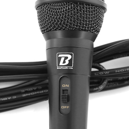 CUBE 200 + MIC10 BoomTone DJ