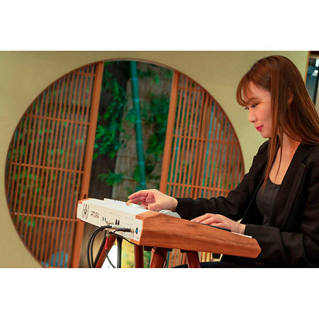 Pack AstroLab 61 White + Porte partition + Flight Case Arturia