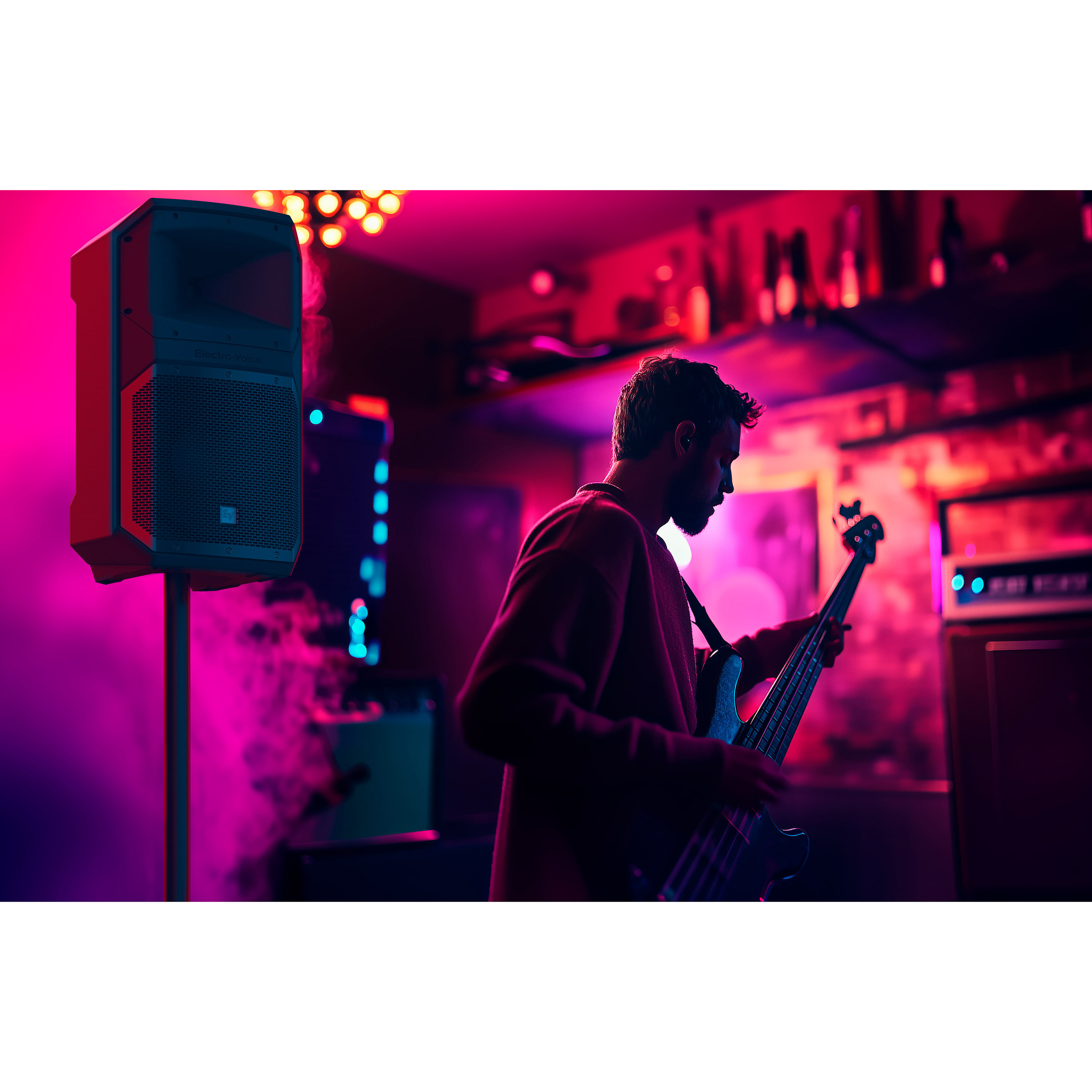 Electro-Voice EVIVA 18SP