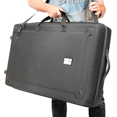 XDJ-AZ + Eva Case Wheel Pioneer DJ